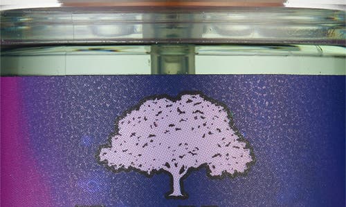Tree Hut Aurora Nights Mist Fragrance In No Color