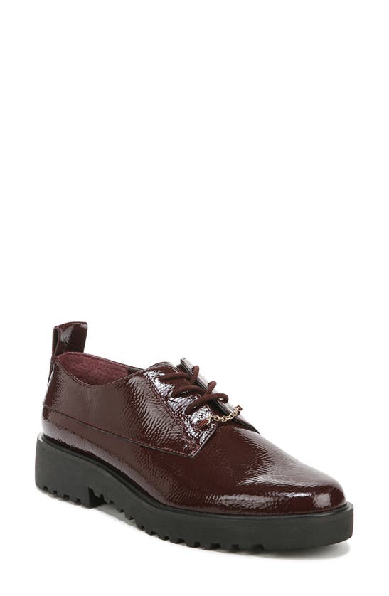 Franco Sarto Carey Platform Derby In Burgundy