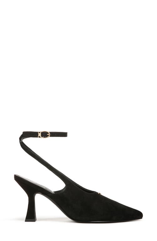 Circus Ny By Sam Edelman Tara Slingback Pump In Black Suede