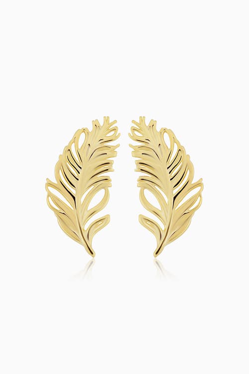 Oradina 10k Gold Fine As A Feather Studs Earrings In Yellow Gold