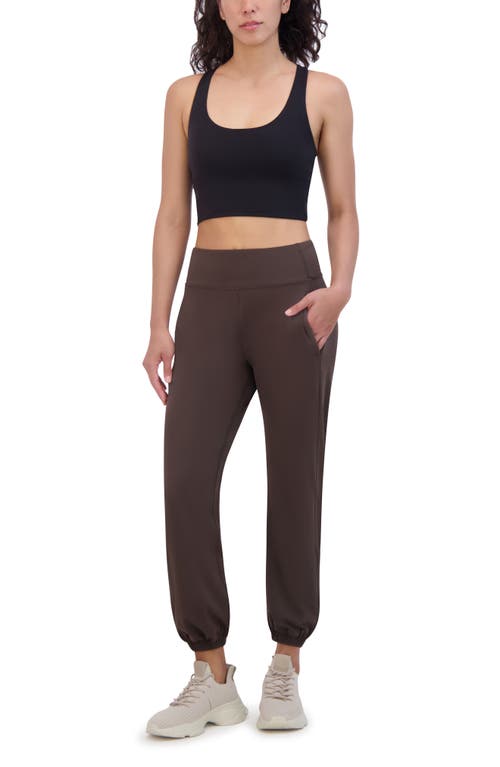 Sage Collective Sage Collective Skinny Performance Joggers In Mulch