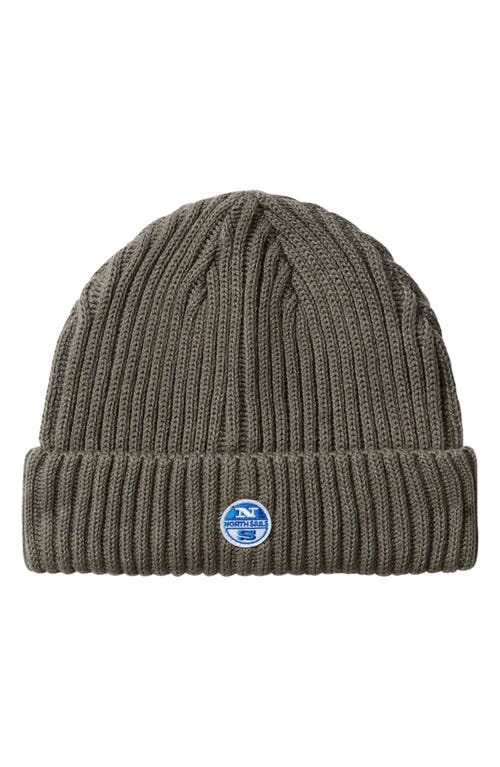 Logo Patch Beanie in Forest Night