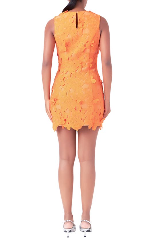 Endless Rose Women's Floral Embroidered Mini Dress In Orange