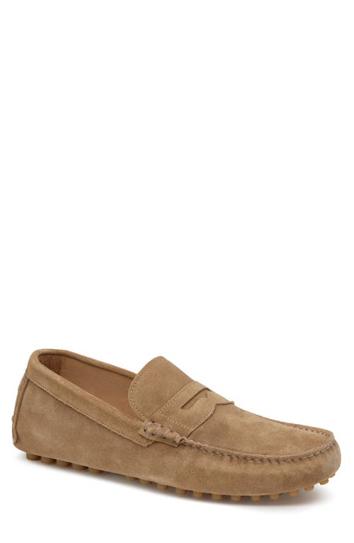 Johnston & Murphy Athens Penny Driving Loafer Taupe Suede at Nordstrom,