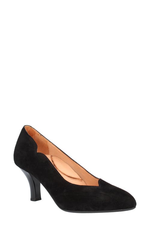 Bambelle Pointed Toe Pump in Black