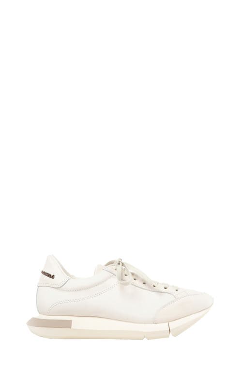 Lisieux Sneaker in White/Gesso-Taupe