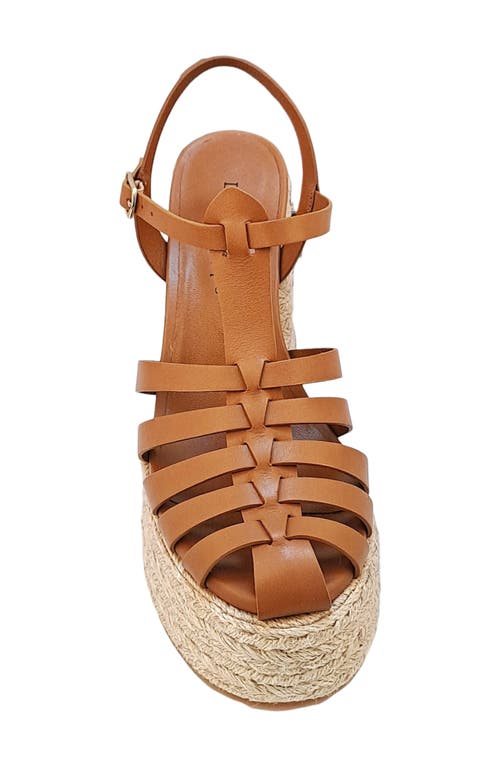 Dee Ocleppo Women's Tulum High Heel Platform Espadrille Fisherman Sandals In Biscotti