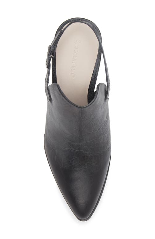 Chocolat Blu Eldorado Slingback Pointed Toe Mule In Black Leather