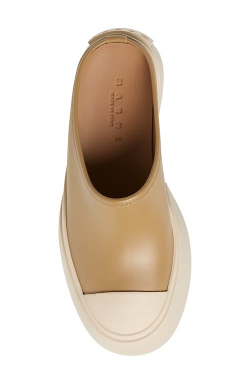 Shop Marni Pablo Leather Mule Sneaker In Cream