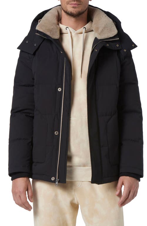 Gorman Genuine Shearling Lined Down Jacket in Black