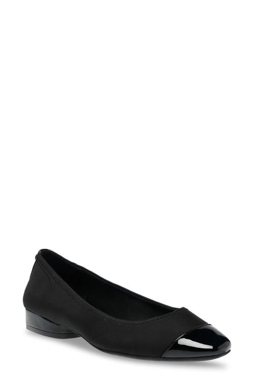 Anne Klein Carlie Flat at Nordstrom,