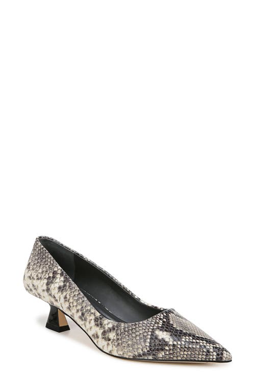 Shop Sarto By Franco Sarto Diva Pointed Toe Kitten Heel Pump In Grey