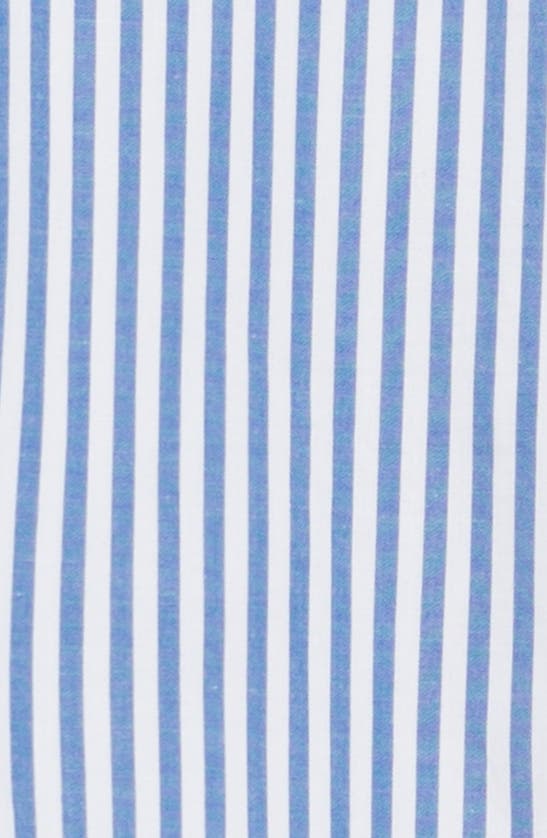 Shop Seraphine Stripe Long Sleeve Maternity/nursing Shirtdress In Blue Stripe