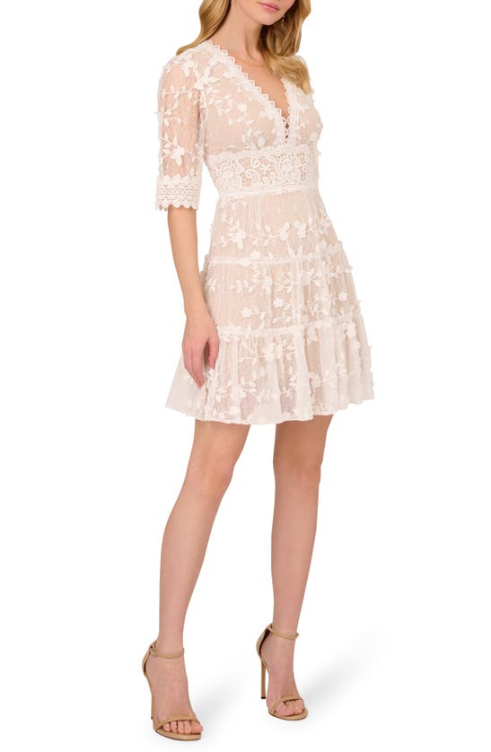 Adrianna Papell Embroidered Lace Minidress In Ivory