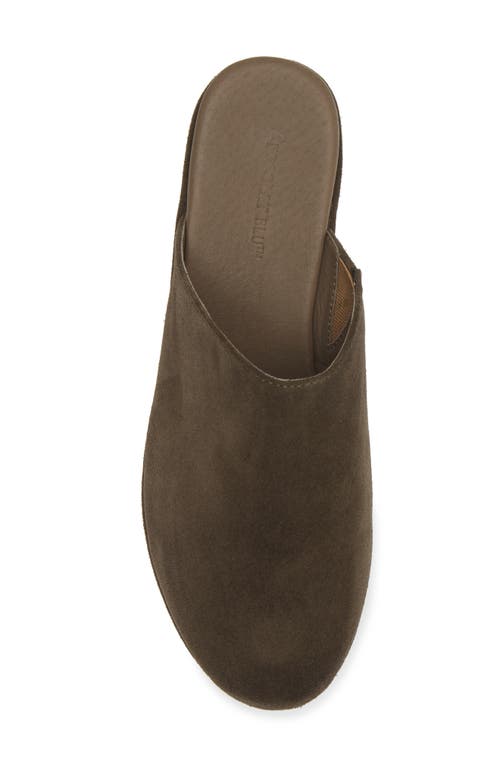Chocolat Blu Yoma Platform Clog In Olive Suede
