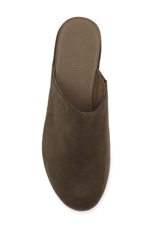 Shop Chocolat Blu Yoma Platform Clog In Olive Suede