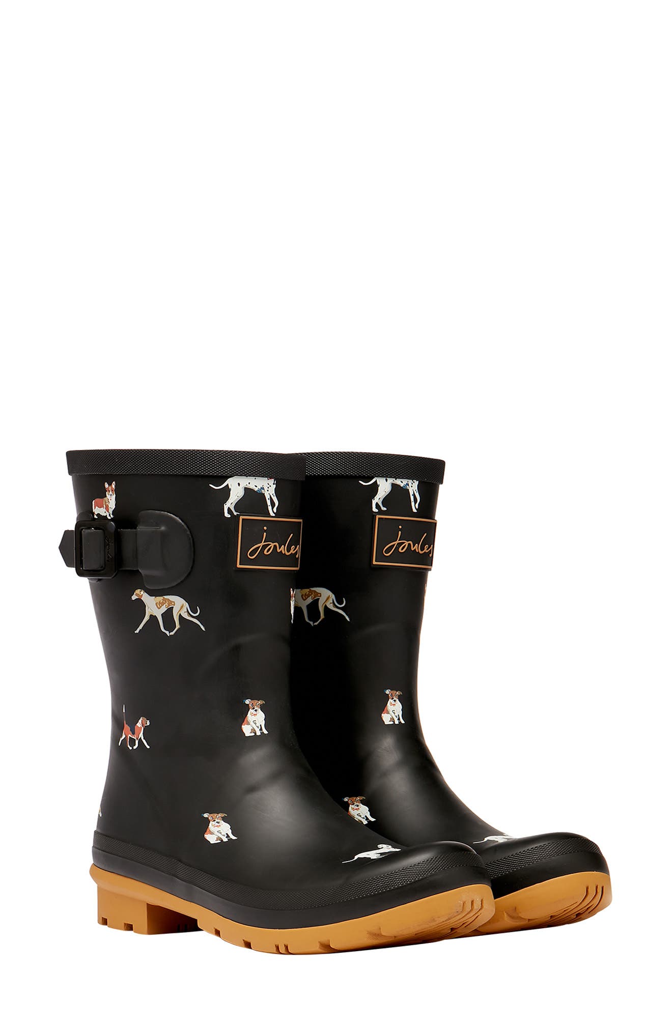 joules molly welly dog