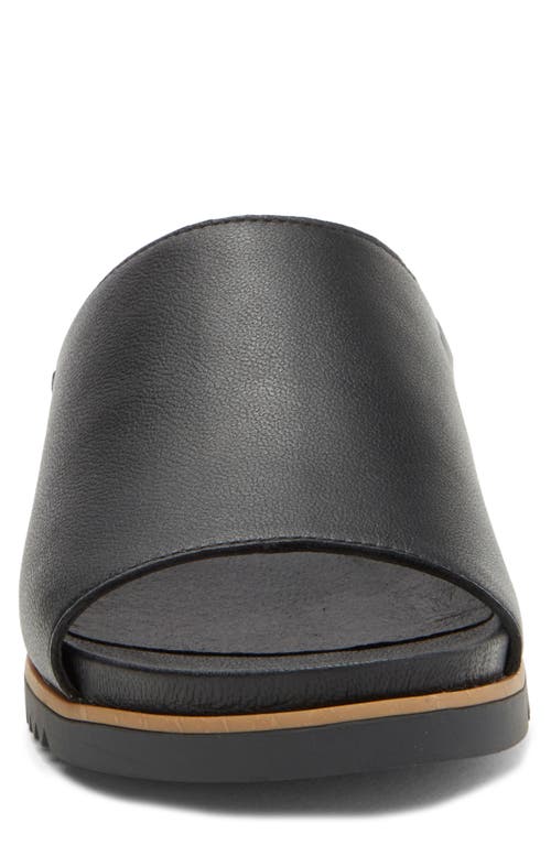 Shop Eileen Fisher Koha Leather Sandal In Black