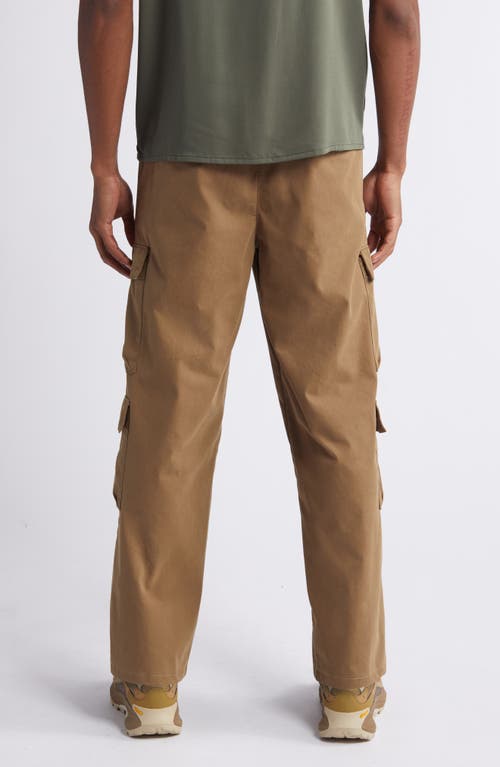 Shop Pacsun Porter Drawstring Cargo Pants In Kangaroo