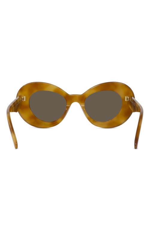 Shop Loewe Curvy 53mm Small Butterfly Sunglasses In Blonde Havana/brown