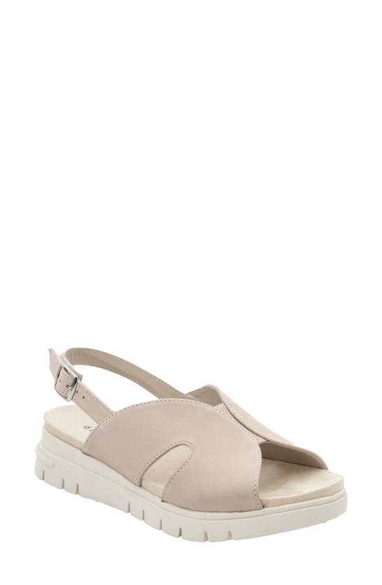 Shop David Tate Madona Unit Slingback Sandal In Bone