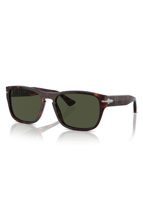 Persol 55mm Pillow Sunglasses In Havana
