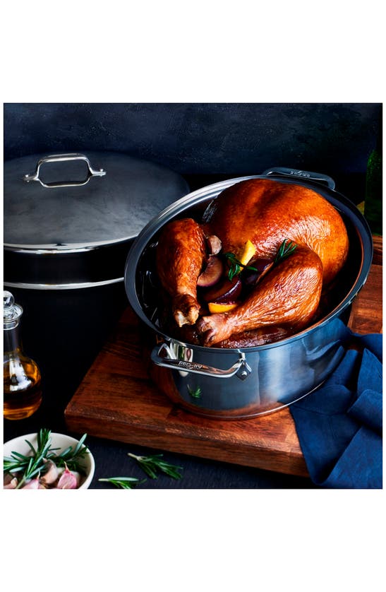 All-clad 10-quart Covered Oval Roaster & Lid In Silver