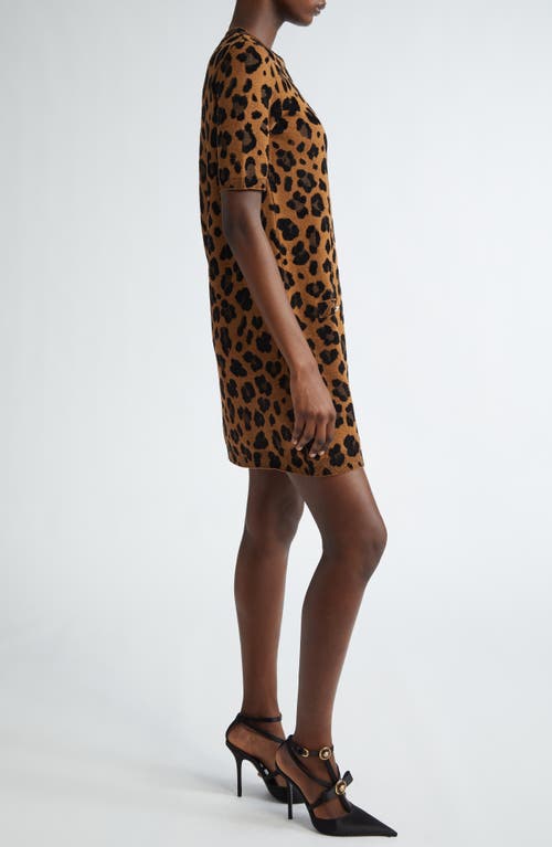 Shop Versace Leopard Jacquard Sweater Dress In Chestnut