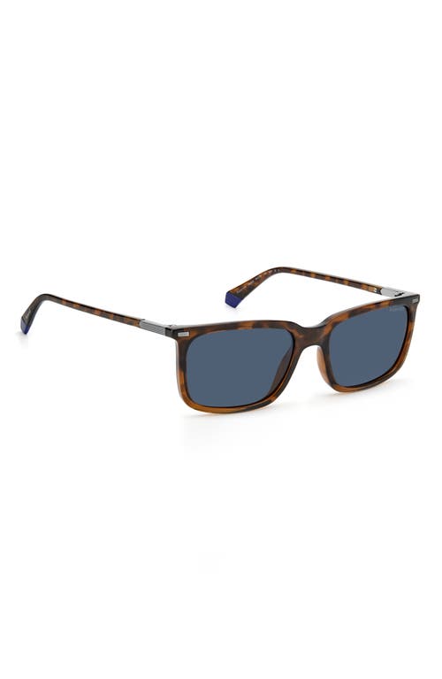 Shop Polaroid 55mm Polarized Rectangular Sunglasses In Havana Brown/blue Polar