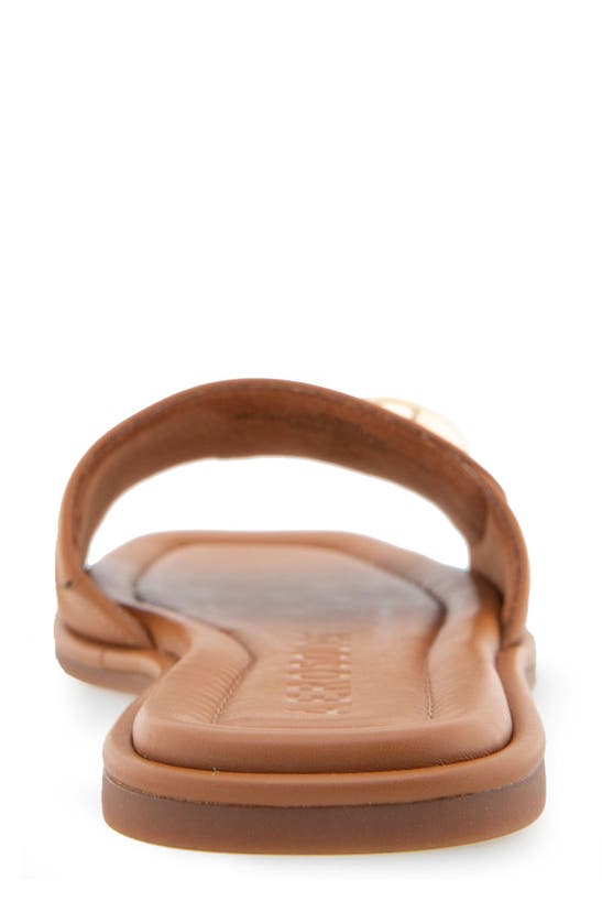 Shop Aerosoles Blaire Buckle Slide Sandal In Tan Leather