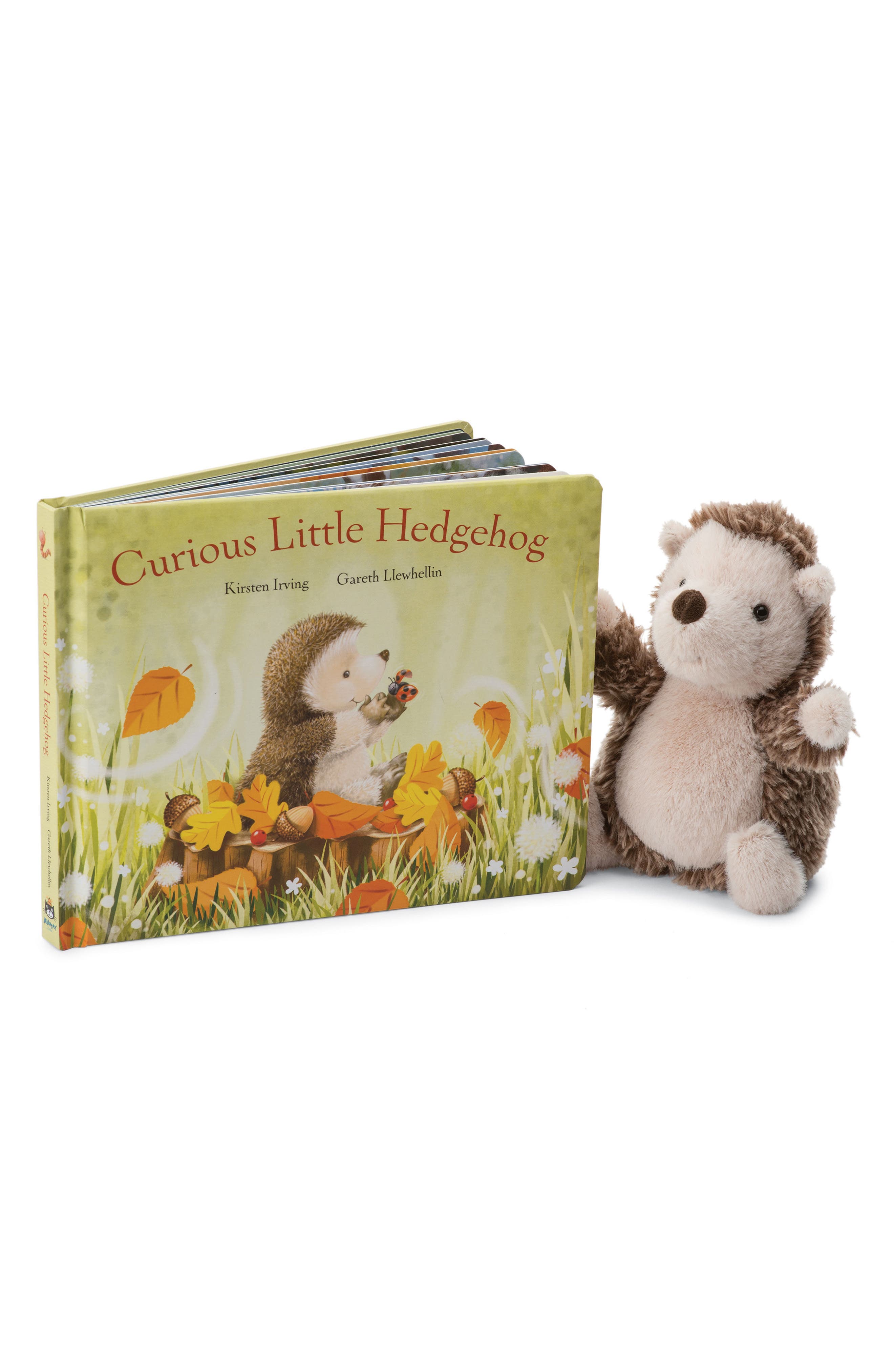 jellycat little hedgehog