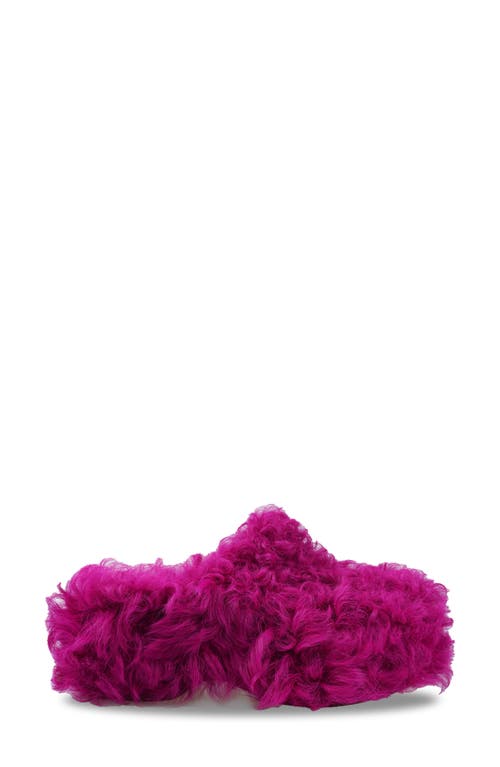 Zigi Jincy Faux Shearling Clog In Fuschia