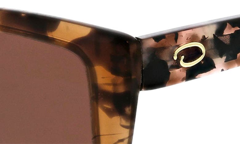Shop Oscar De La Renta 52mm Butterfly Sunglasses In Taupe Demi