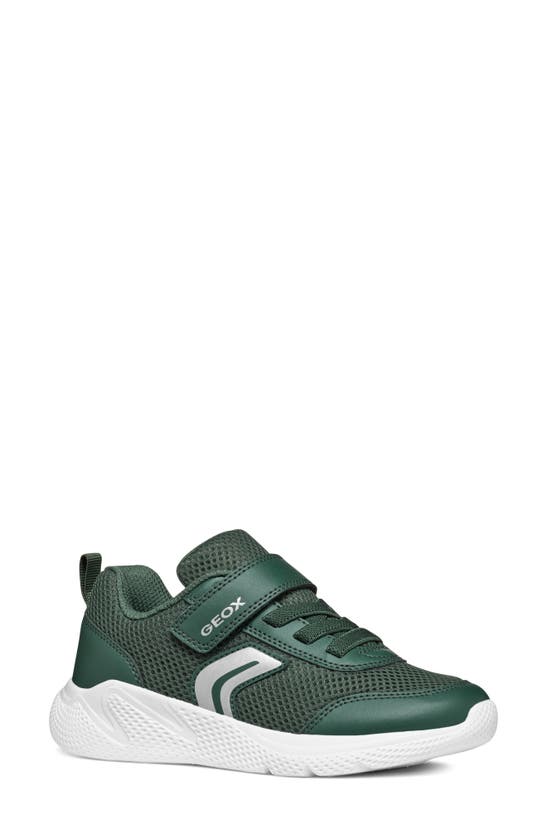 Shop Geox Kids' Sprintye Sneaker In Dark Green