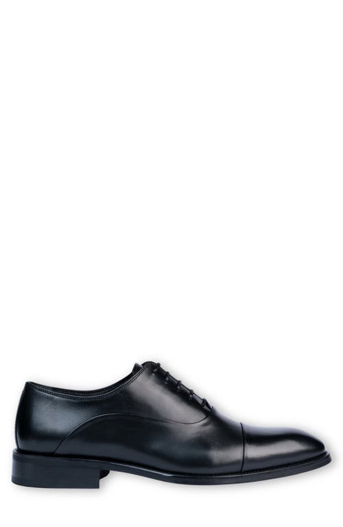 Vellapais Gambo Cap Toe Oxford Shoes In Black