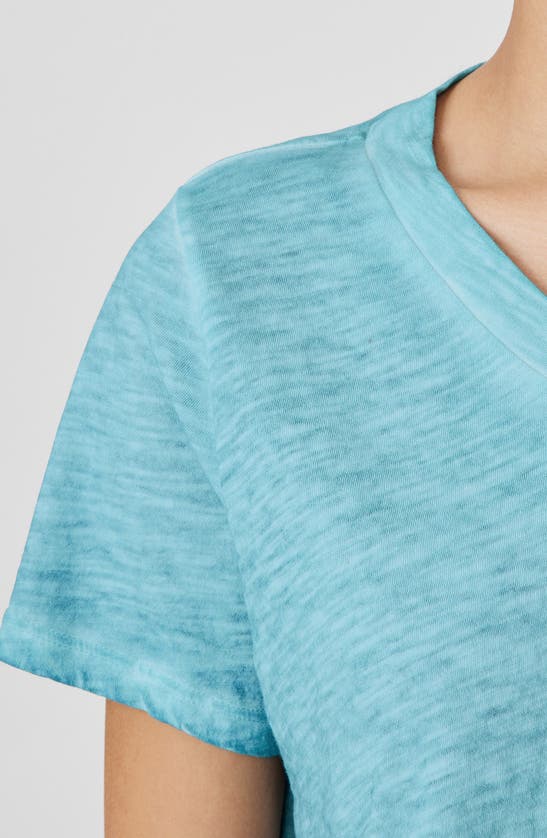 Shop Eileen Fisher V-neck Organic Cotton T-shirt In Seafoam