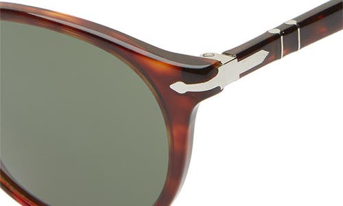 Persol 52mm Round Sunglasses In Brown/green