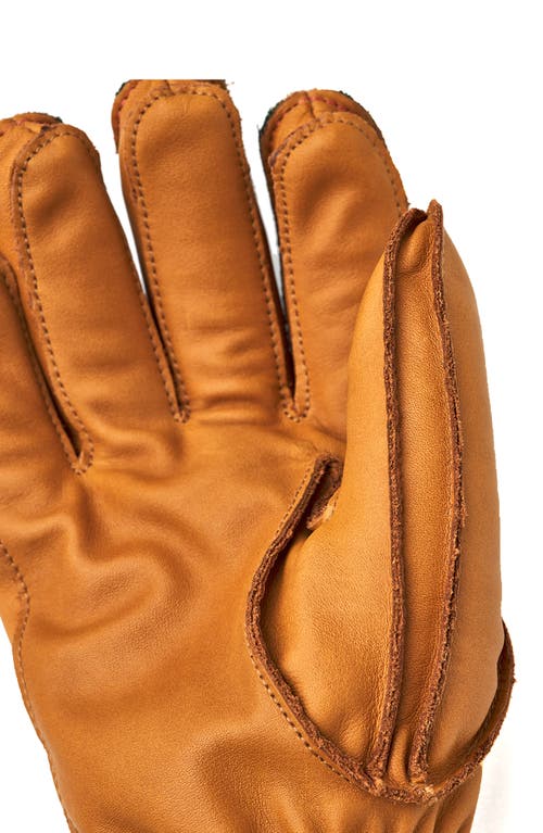 Shop Hestra Wakayama Leather Gloves In Forest/cork