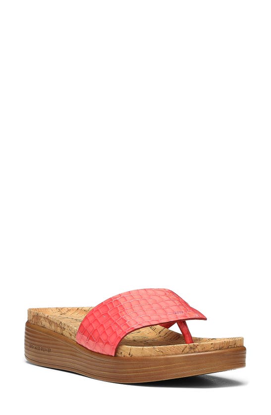DONALD PLINER FIFI FLIP FLOP