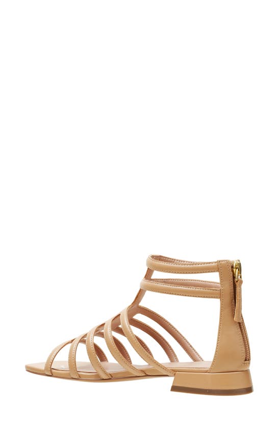 Shop Linea Paolo Lital Strappy Sandal In Desert