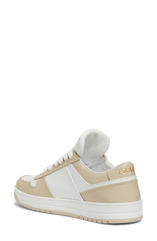 Prada Downtown Logo Low Top Sneaker In Bianco/ Deserto