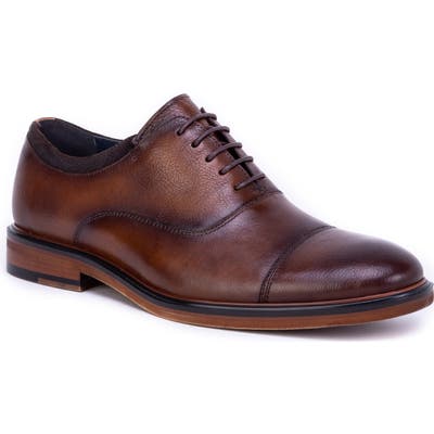 Zanzara Hans Cap Toe Oxford, Brown