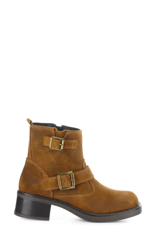 Shop Bos. & Co. Grata Waterproof Buckle Bootie In Golden Pampa Argenti