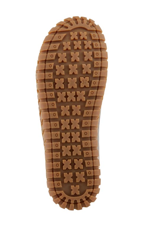 Spring Step Emmalina Sneaker In Brown