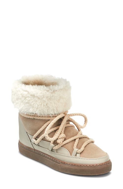 INUIKII Classic Genuine Shearling Lined High Top Sneaker Beige at Nordstrom,