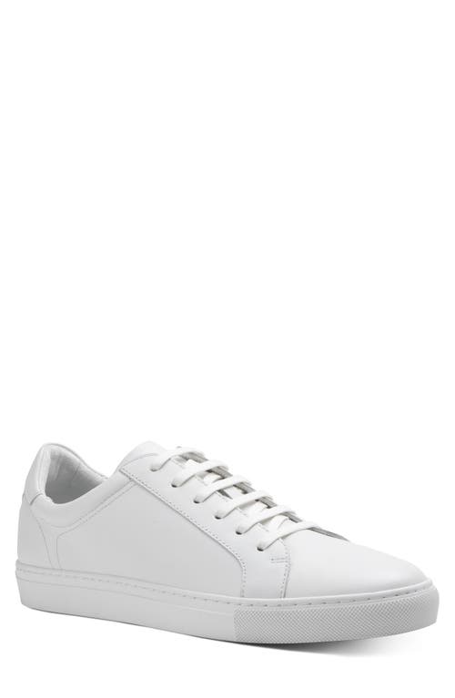Jay Low Top Sneaker in White