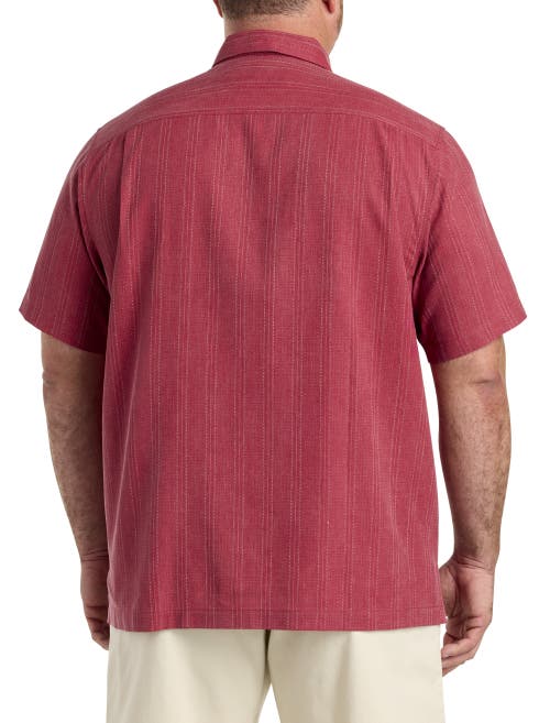 Tommy Bahama Bali Border Camp Shirt In Deep Havana