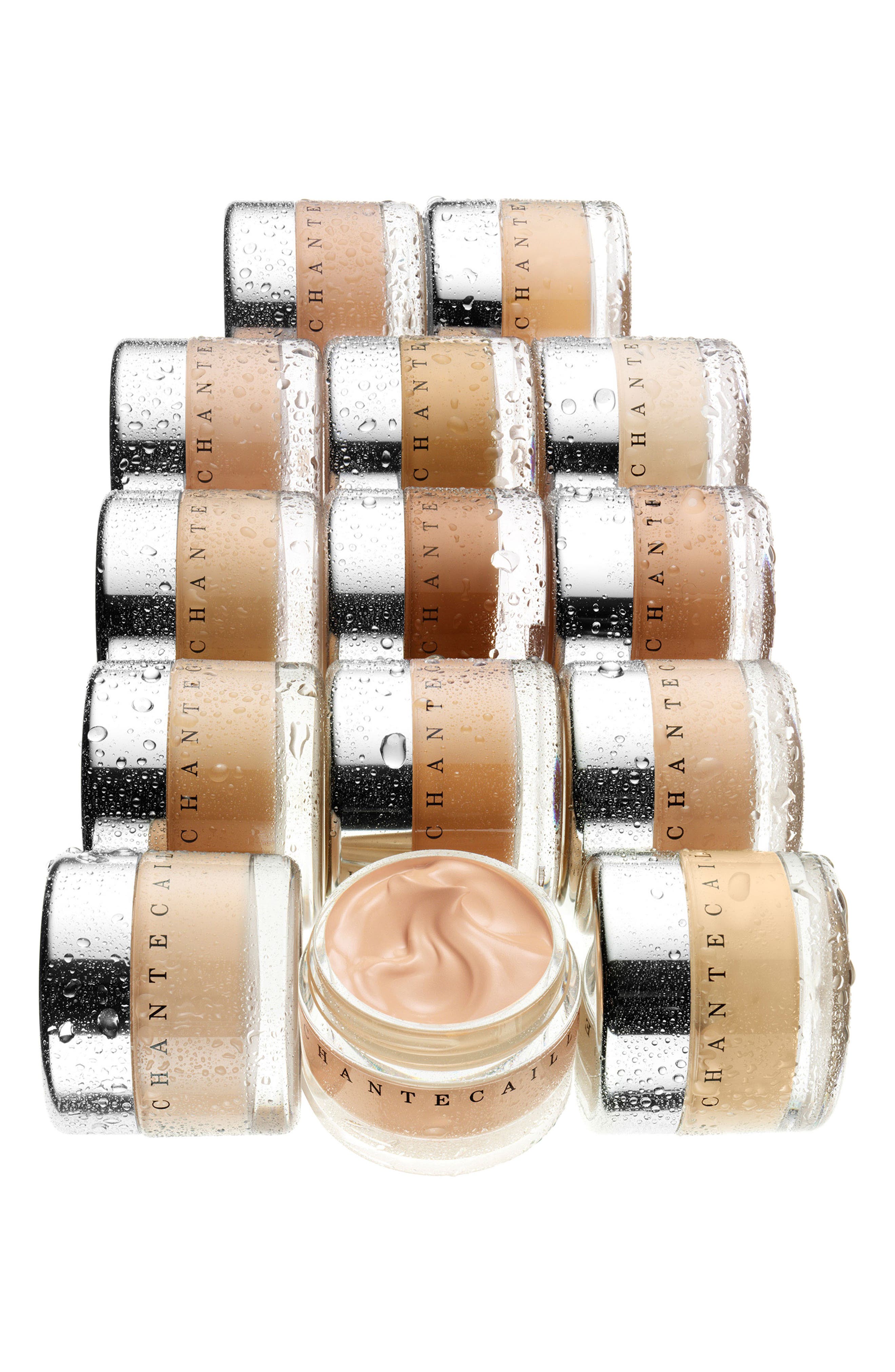 Chantecaille Future Skin Gel Foundation Nordstrom