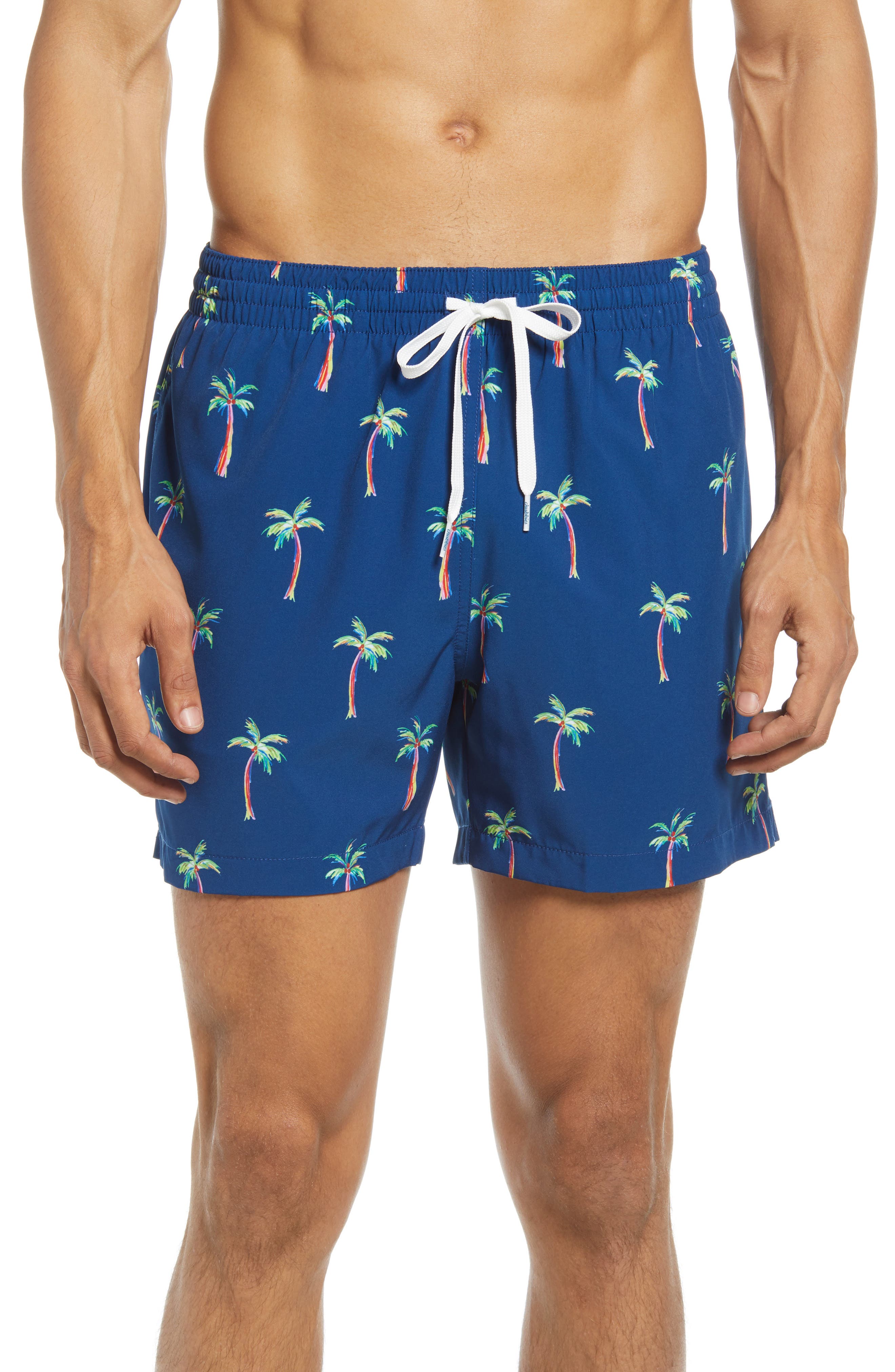 chubbies bathing suits mens