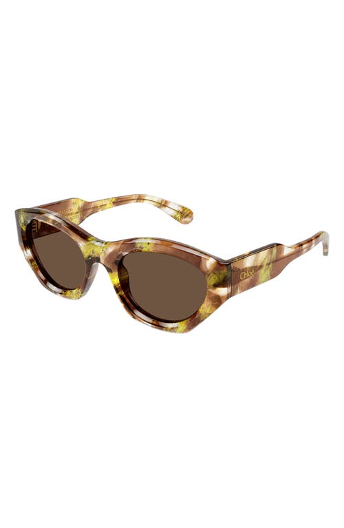 Shop Chloé 53mm Cat Eye Sunglasses In Havana